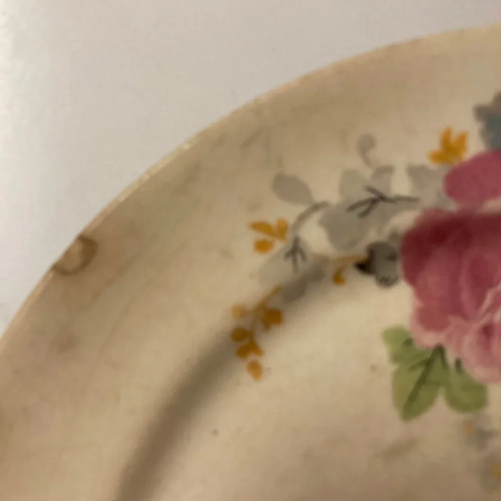 Vintage Salad Plates (2) 6 Inches with Pink & Blue Flowers / Roses